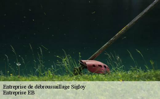 entreprise-de-debroussaillage