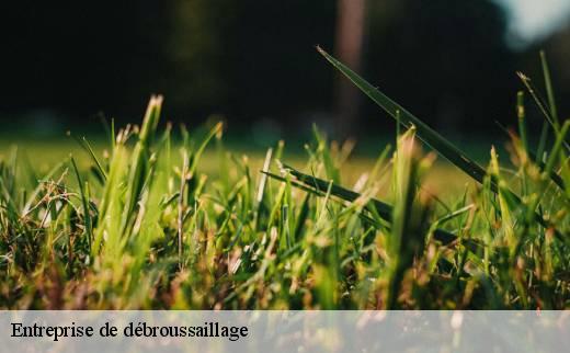 entreprise-de-debroussaillage