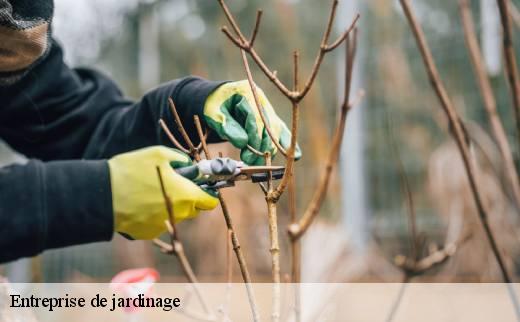 entreprise-de-jardinage