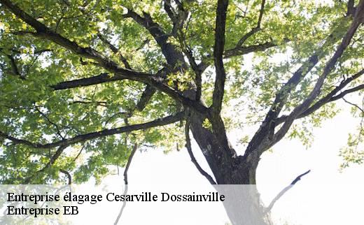 entreprise-elagage