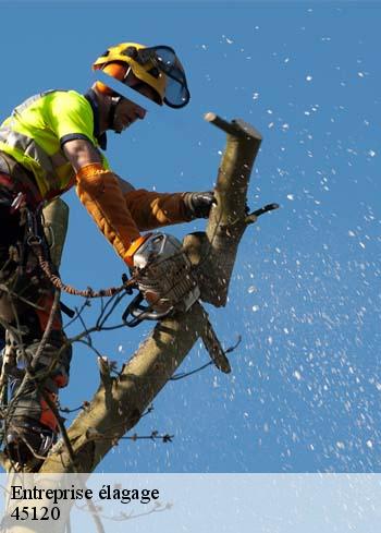 entreprise-elagage