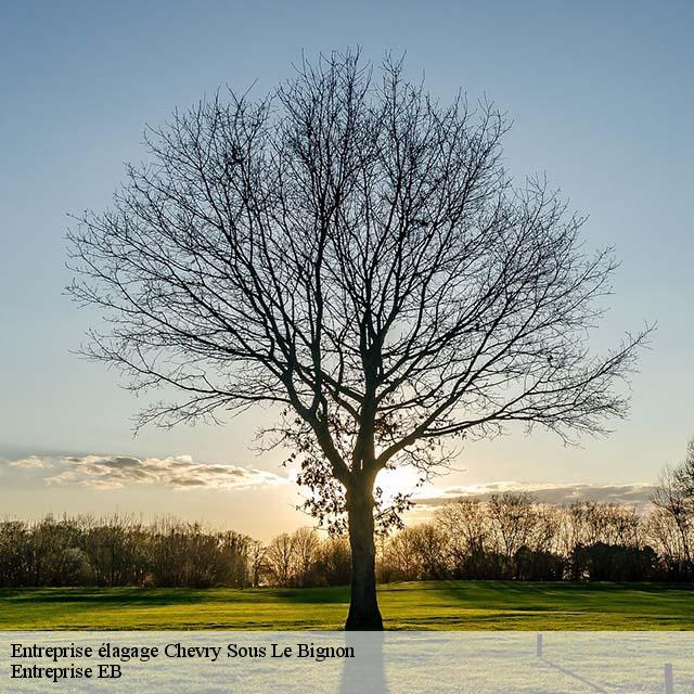 entreprise-elagage