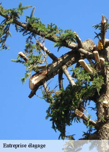 entreprise-elagage