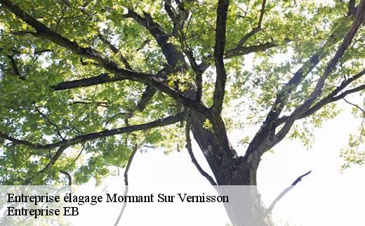 entreprise-elagage