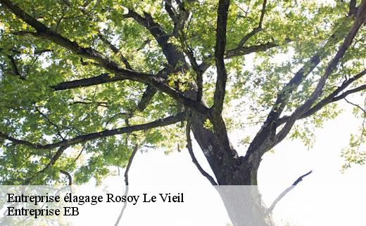 entreprise-elagage