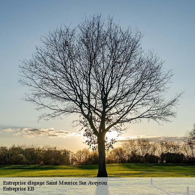 entreprise-elagage