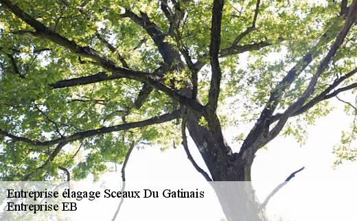 entreprise-elagage