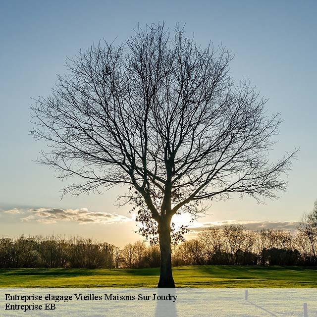 entreprise-elagage