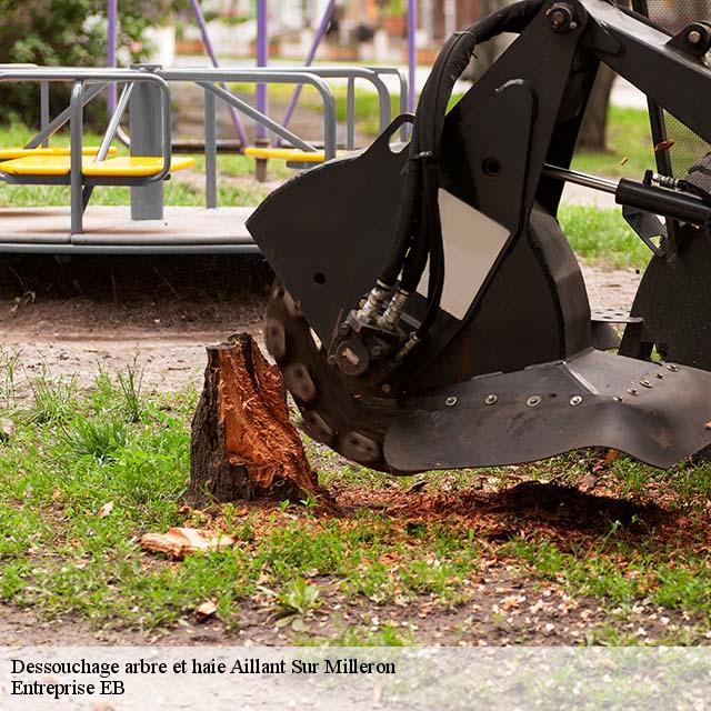 dessouchage-arbre-et-haie