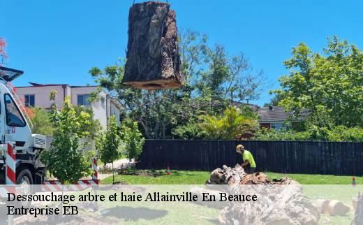 dessouchage-arbre-et-haie