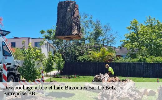 dessouchage-arbre-et-haie