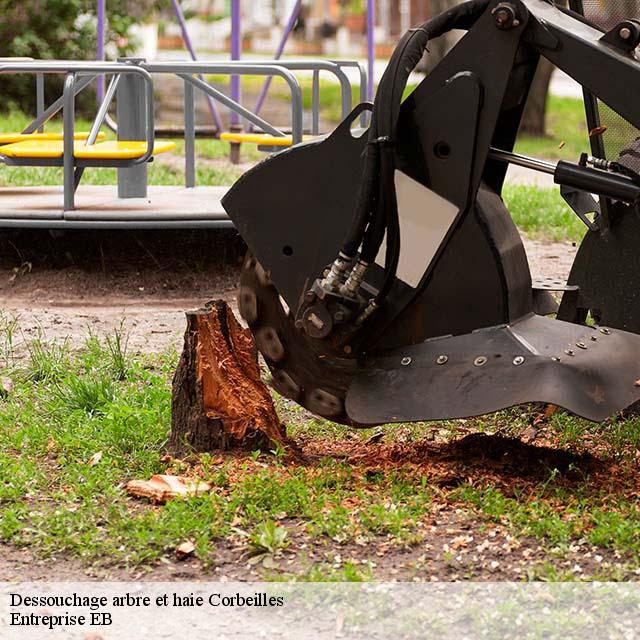 dessouchage-arbre-et-haie