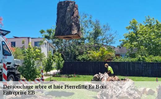 dessouchage-arbre-et-haie