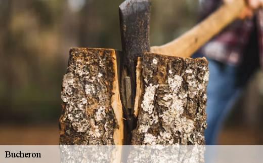 bucheron