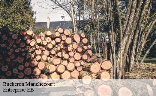 bucheron