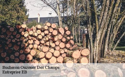 bucheron