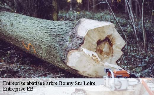 entreprise-abattage-arbre