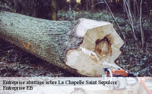 entreprise-abattage-arbre