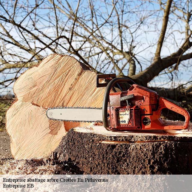 entreprise-abattage-arbre