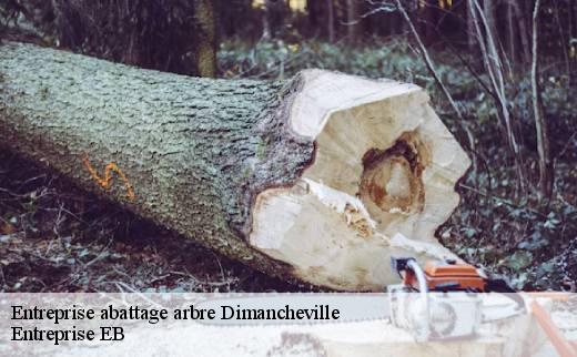 entreprise-abattage-arbre