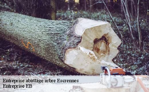 entreprise-abattage-arbre