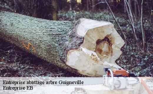 entreprise-abattage-arbre