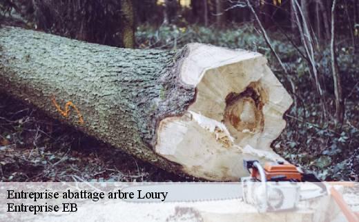 entreprise-abattage-arbre