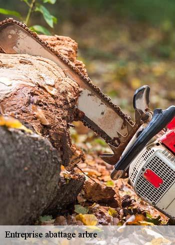 entreprise-abattage-arbre