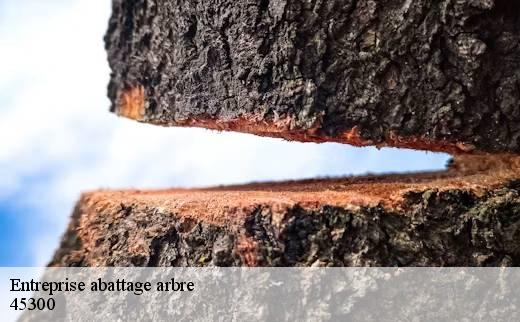 entreprise-abattage-arbre