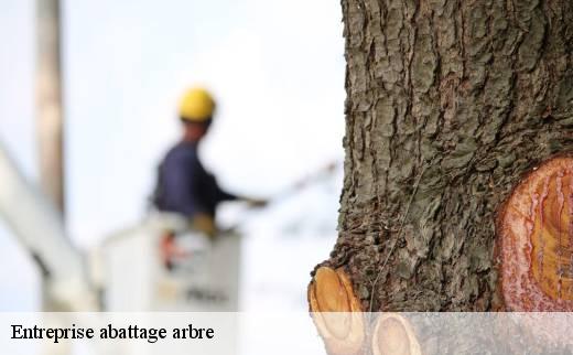 entreprise-abattage-arbre