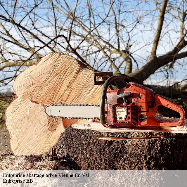 entreprise-abattage-arbre
