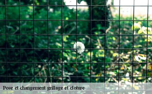 pose-et-changement-grillage-et-cloture