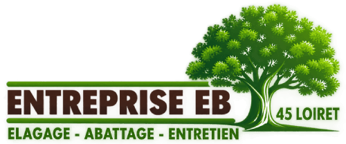 logo Entreprise EB